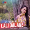 About Lali Dalane Song