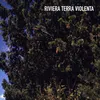 Terra violenta