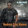 About Nedrob Zouj Hamra Song