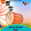 About Adivasi Mandal Timli Song