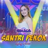 Santri Pekok