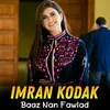 About Baaz Nan Fawlad Song