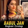 About Baghair Zindagi Song