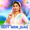 About Sexy Meri Jaan Song