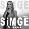 About Zalım Anam Song