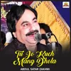 About Tu Jo Kuch Mang Dhola Song