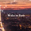 About waltz in paris Song