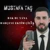 About Bak Bu Yana Bahçeye Ektim Çilek Song