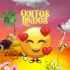 About Ojitos Lindos Song