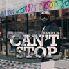 About Can't Stop Song