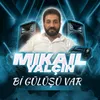 About Bi Gülüşü Var Song