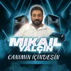 About Canımın İçindesin Song