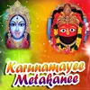 About Karunamayee Metakanee Song
