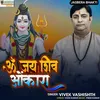 About Om Jay Shiv Omkara Song