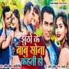 About Jhutho Ke Babu Sona Kahati Ho Song