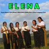 About Elena Song