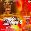 About Trimbakeshwar Jyotirling, Pt. 8 Song