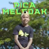 PICA MELEDAK