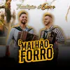 About O Malhão E O Forró Song