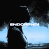 About ENDORPHIN Song