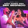 About Não Nasci Pra Ser Segredo Song