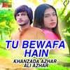 About Tu Bewafa Hain Song