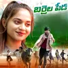 About BARRELA PEDA Song