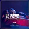 About DJ Sonia - Inst Song