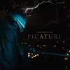About PICATURI Song