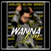 About DJ Wanna Life Remix - Inst Song