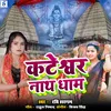 About Kateshwar Nath Dhaam Song