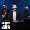 About Doamne mai fă o minune Song