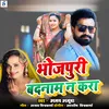 About Bhojpuri Badnaam na Kara Song