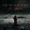 About השגעונות שלך Song