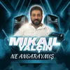 About Ne Ankaraymış Song