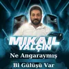 About Ne Ankaraymış / Bir Gülüşü Var Song