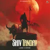 About Shiv Tandav Song