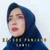 About Halodo Panjang Song