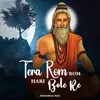 About Tera Rom Rom Hari Bole Re Song
