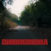 About CHIDHCHIDHA Song