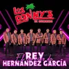 El Corrido De Rey Hernández García