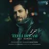 About Tefli Delam Song