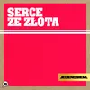 About Serce Ze Złota Song