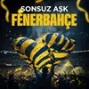 About Sonsuz Aşk Fenerbahçe Song