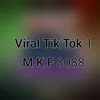 Tik Tok Viral 1