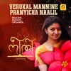 About Verukal Mannine Pranayicha Naalil Song