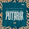 About Sequência de Putaria Song