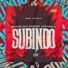 About Brazilian Phonk Fumaça Subindo Song