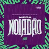 About Mega Noiadão Song