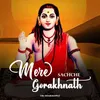 About Mere Sachche Gorakhnath Song